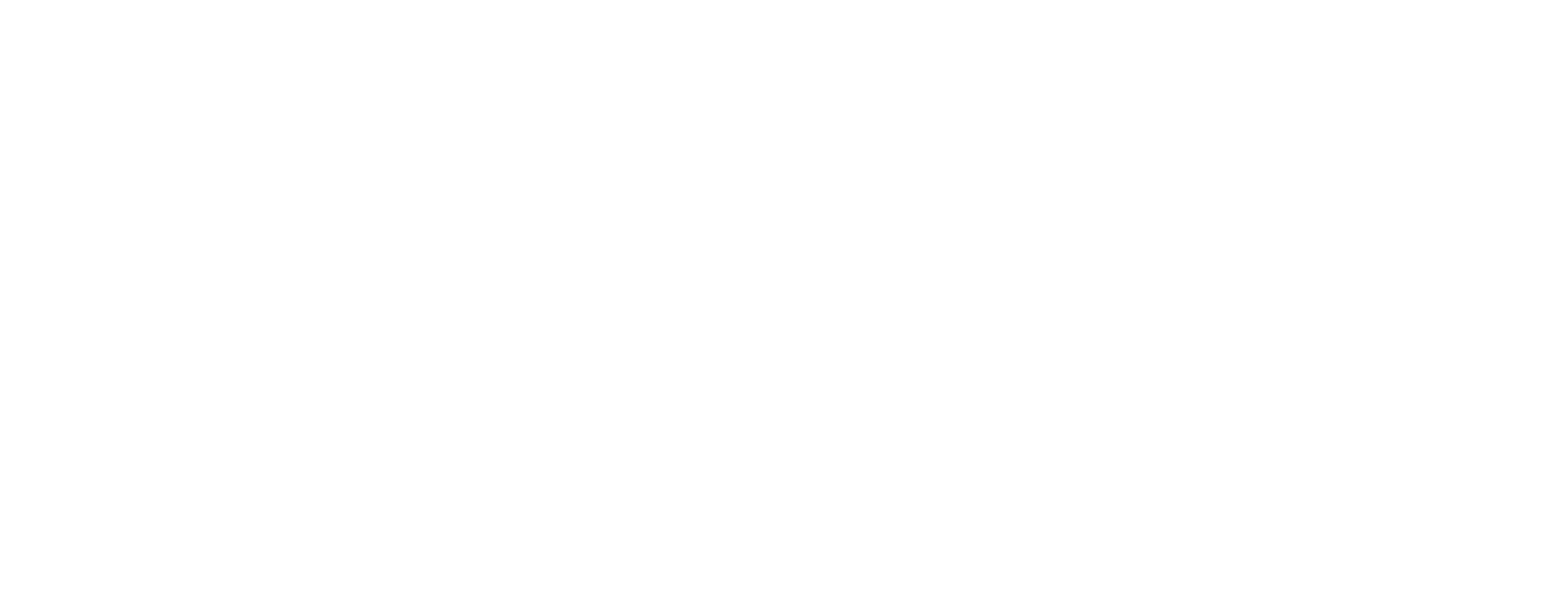 Windoors Studio logo